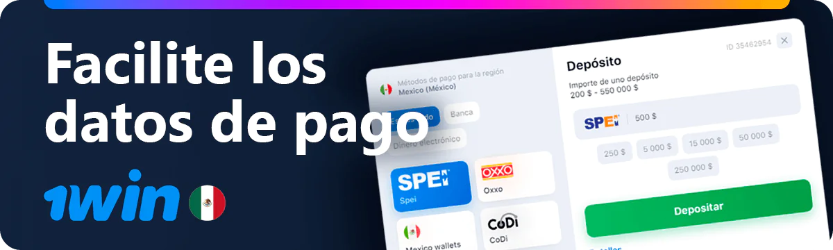 Introduzca sus datos de pago y el importe del ingreso 1win